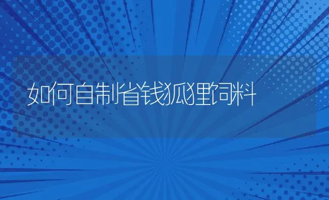 如何自制省钱狐狸饲料 | 水产养殖知识