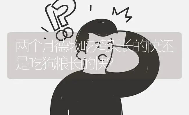 两个月德牧吃鸡架长的快还是吃狗粮长的快？ | 动物养殖问答