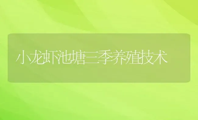 小龙虾池塘三季养殖技术 | 动物养殖教程