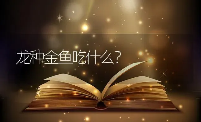 龙种金鱼吃什么？ | 鱼类宠物饲养