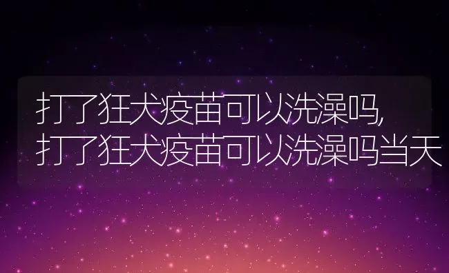 打了狂犬疫苗可以洗澡吗,打了狂犬疫苗可以洗澡吗当天 | 宠物百科知识