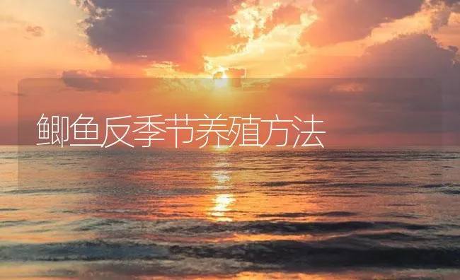 鲫鱼反季节养殖方法 | 海水养殖技术