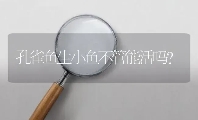 孔雀鱼生小鱼不管能活吗？ | 鱼类宠物饲养