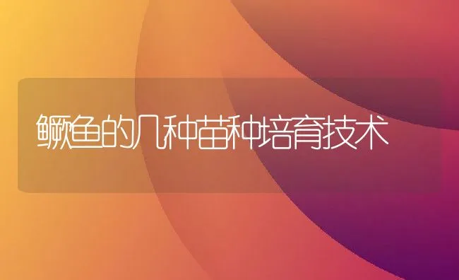 稻田养殖罗氏沼虾的关键措施 | 海水养殖技术