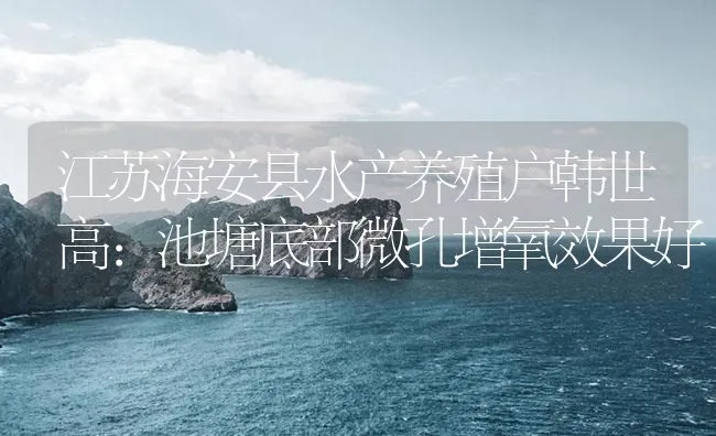 江苏海安县水产养殖户韩世高：池塘底部微孔增氧效果好 | 海水养殖技术