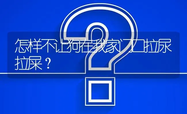 怎样不让狗在我家门口拉尿拉屎？ | 动物养殖问答