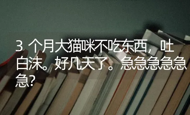 3个月大猫咪不吃东西，吐白沫。好几天了。急急急急急急？ | 动物养殖问答