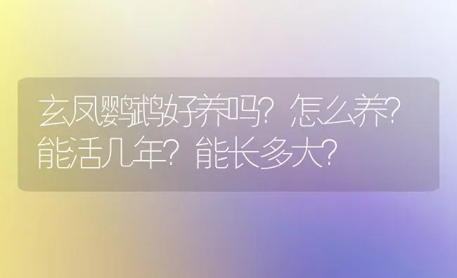 小狗趴着往后倒退是怎么回事？ | 动物养殖问答