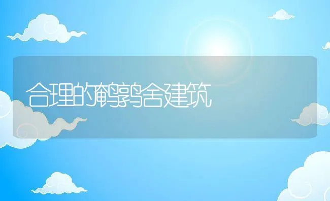 合理的鹌鹑舍建筑 | 动物养殖饲料