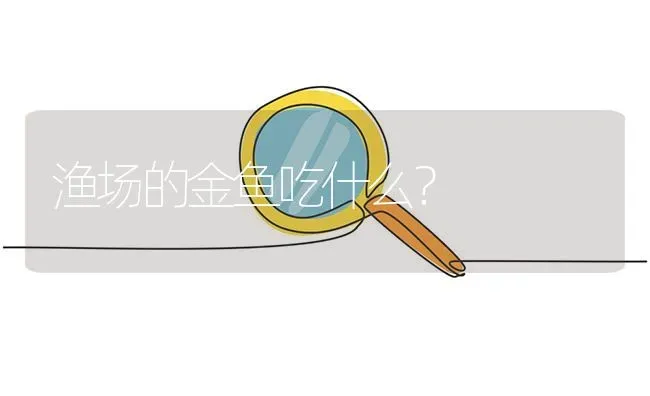 渔场的金鱼吃什么？ | 鱼类宠物饲养