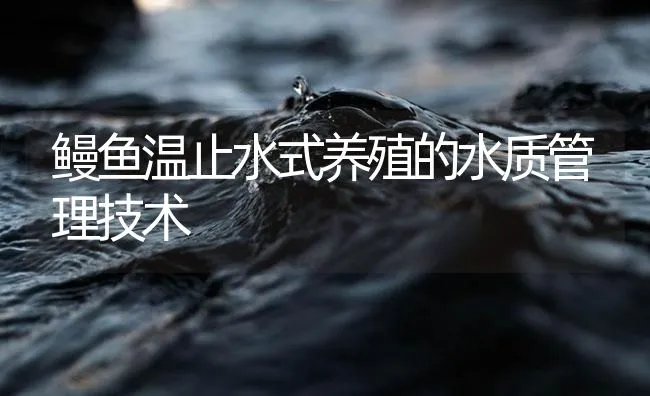 鳗鱼温止水式养殖的水质管理技术 | 海水养殖技术