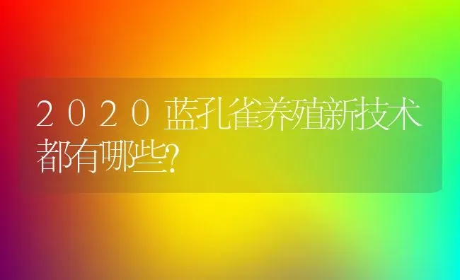 2020蓝孔雀养殖新技术都有哪些？ | 动物养殖百科