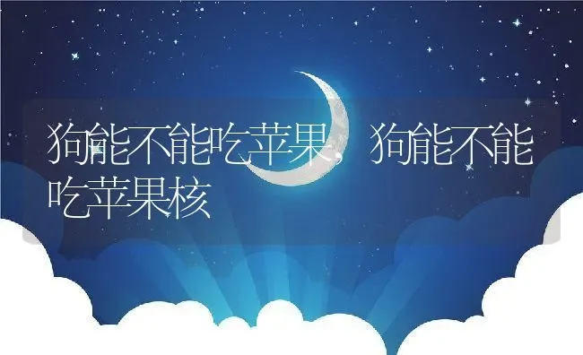 狗能不能吃苹果,狗能不能吃苹果核 | 宠物百科知识