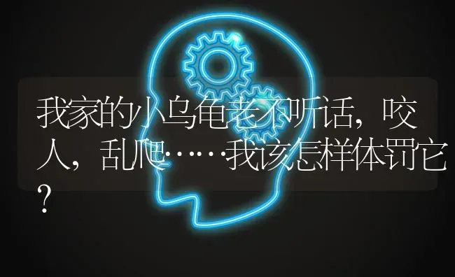 我家的小乌龟老不听话,咬人，乱爬……我该怎样体罚它？ | 动物养殖问答