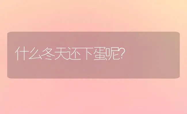 什么冬天还下蛋呢？ | 动物养殖问答