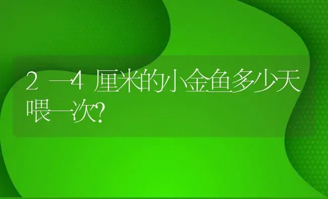 2一4厘米的小金鱼多少天喂一次？ | 鱼类宠物饲养