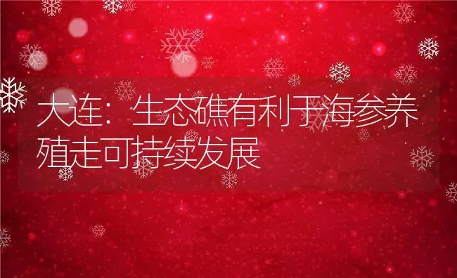 大连：生态礁有利于海参养殖走可持续发展 | 动物养殖教程