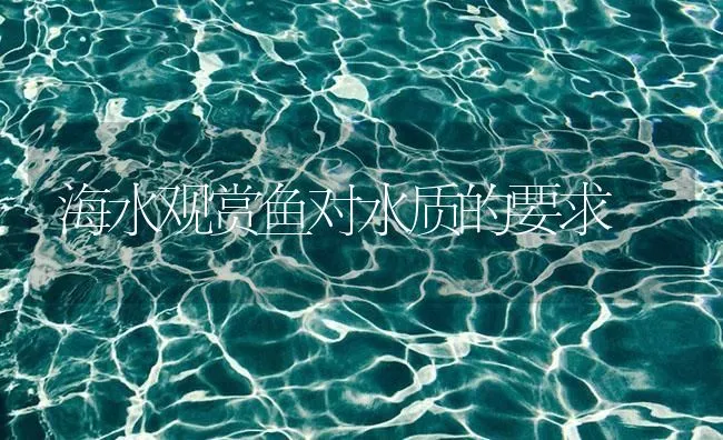 海水观赏鱼对水质的要求 | 海水养殖技术