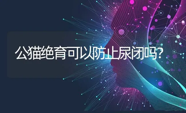 公猫绝育可以防止尿闭吗？ | 动物养殖问答