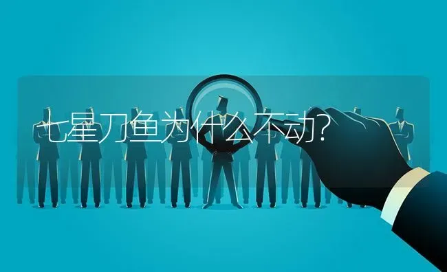 七星刀鱼为什么不动？ | 鱼类宠物饲养