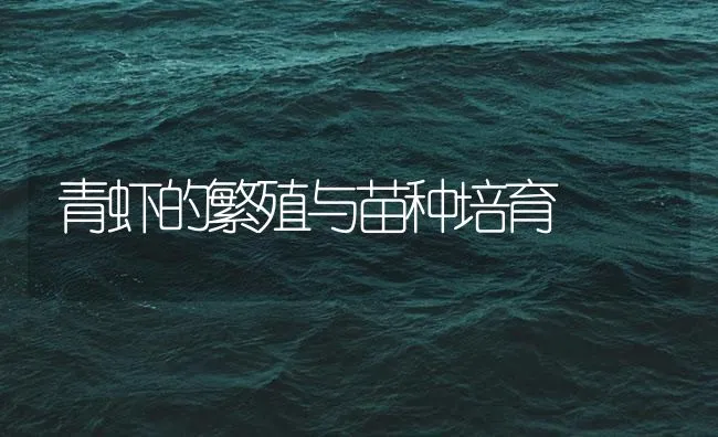 青虾的繁殖与苗种培育 | 海水养殖技术