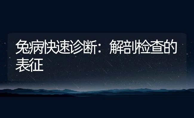 兔病快速诊断：解剖检查的表征 | 水产养殖知识