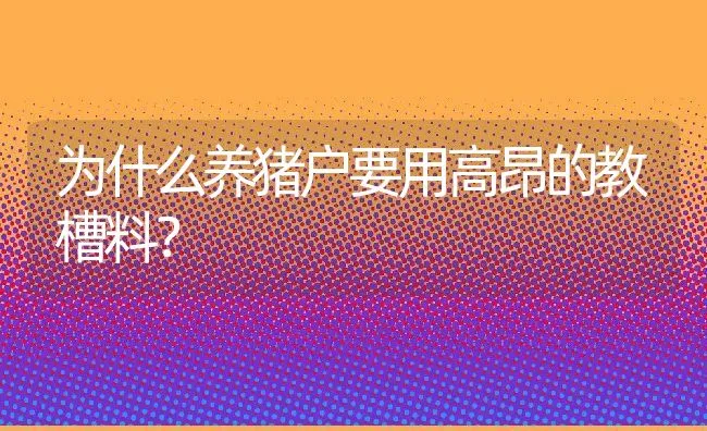 为什么养猪户要用高昂的教槽料？ | 动物养殖饲料