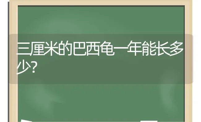 三厘米的巴西龟一年能长多少？ | 动物养殖问答