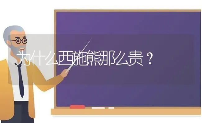 为什么西施熊那么贵？ | 动物养殖问答