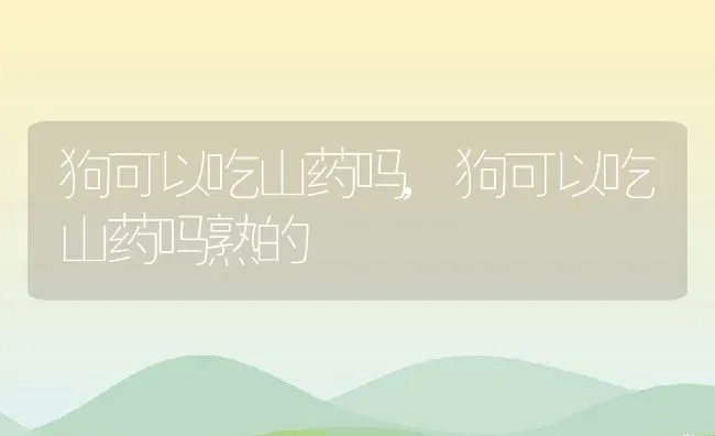 狗可以吃山药吗,狗可以吃山药吗熟的 | 宠物百科知识