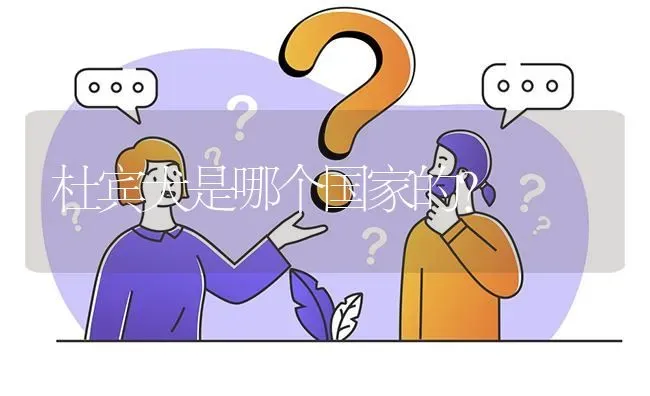 杜宾犬是哪个国家的？ | 动物养殖问答