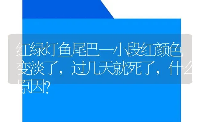 红绿灯鱼尾巴一小段红颜色变淡了，过几天就死了，什么原因？ | 鱼类宠物饲养