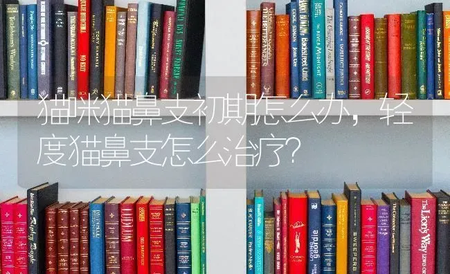 猫咪猫鼻支初期怎么办，轻度猫鼻支怎么治疗？ | 动物养殖问答