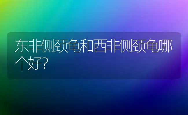 东非侧颈龟和西非侧颈龟哪个好？ | 动物养殖问答