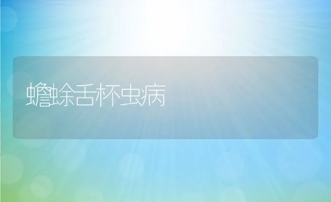 蟾蜍舌杯虫病 | 水产养殖知识