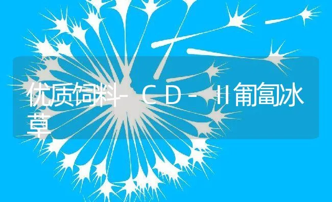 优质饲料-CD-Ⅱ匍匐冰草 | 动物养殖学堂