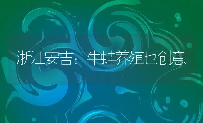 浙江安吉：牛蛙养殖也创意 | 动物养殖百科