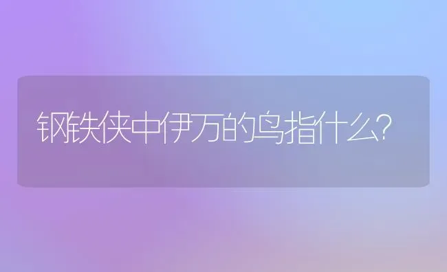 钢铁侠中伊万的鸟指什么？ | 动物养殖问答