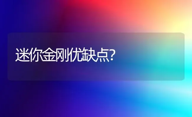 俄罗斯流浪猫冬天怎么活？ | 动物养殖问答