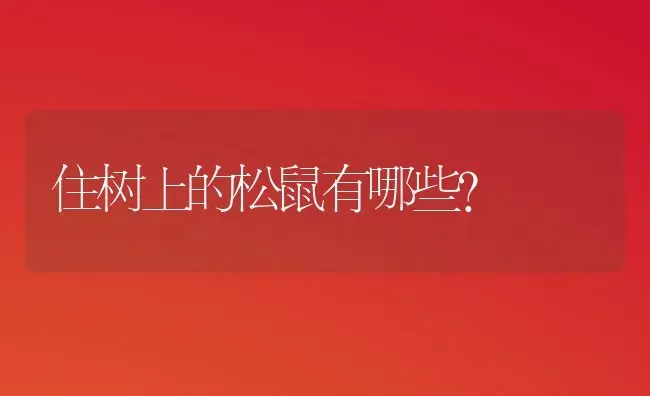 住树上的松鼠有哪些？ | 动物养殖问答