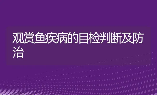 观赏鱼疾病的目检判断及防治 | 水产养殖知识