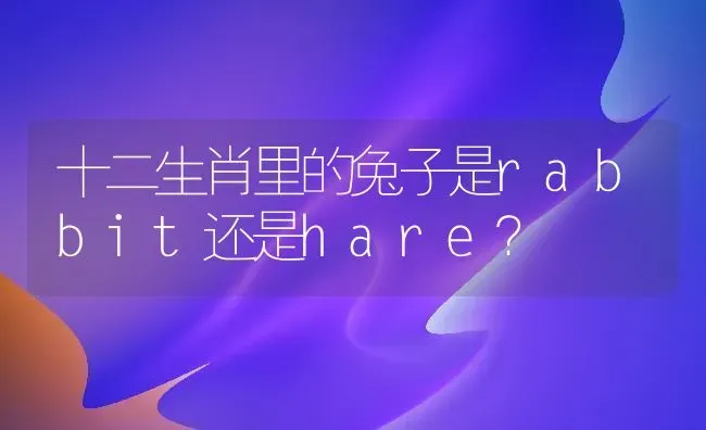 十二生肖里的兔子是rabbit还是hare？ | 动物养殖问答