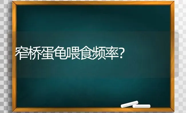 三色柯基小时候是黑色的么？ | 动物养殖问答