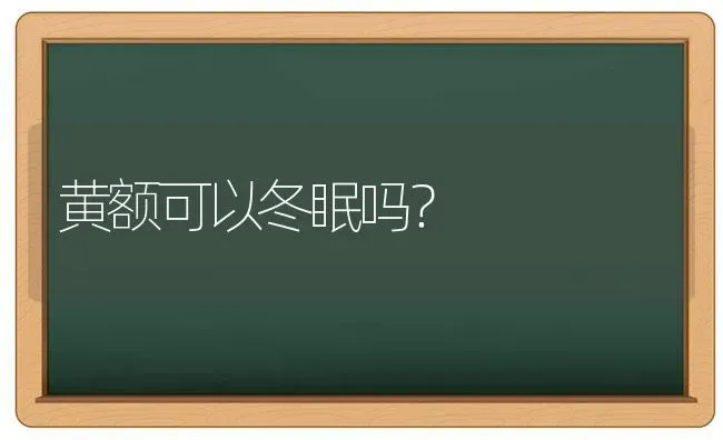 黄额可以冬眠吗？ | 动物养殖问答