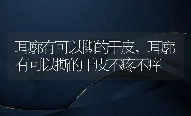 耳廓有可以撕的干皮,耳廓有可以撕的干皮不疼不痒 | 宠物百科知识