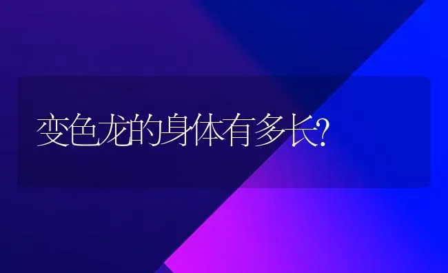 变色龙的身体有多长？ | 动物养殖问答