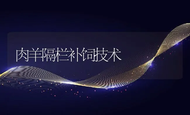 稻田养殖基围虾的技术 | 海水养殖技术