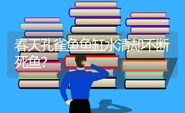 春天孔雀鱼鱼缸水清却不断死鱼？ | 鱼类宠物饲养