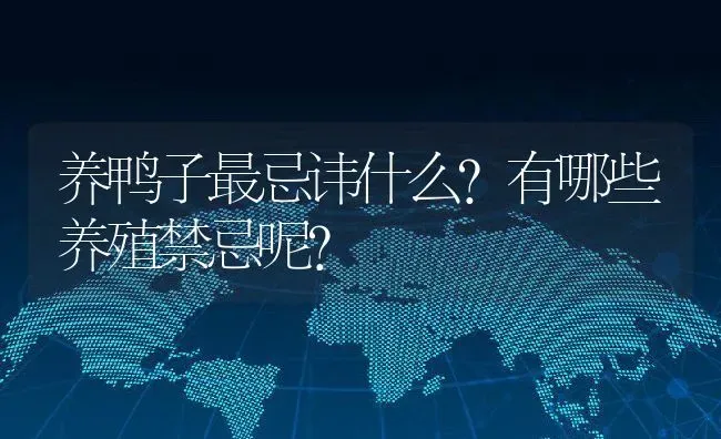 养鸭子最忌讳什么？有哪些养殖禁忌呢？ | 动物养殖百科