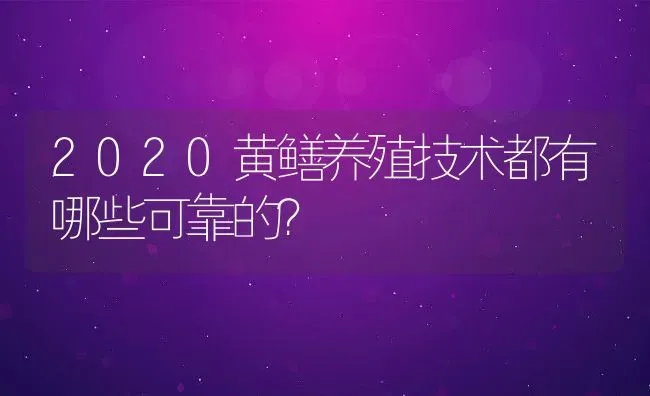 2020黄鳝养殖技术都有哪些可靠的？ | 动物养殖百科